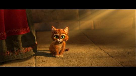 穿靴子的猫电影在线观看,魔法冒险之旅在线观影指南  第3张
