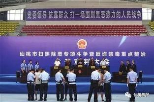 仙桃最新爆料事件新闻发布会,新闻发布会揭秘真相与进展