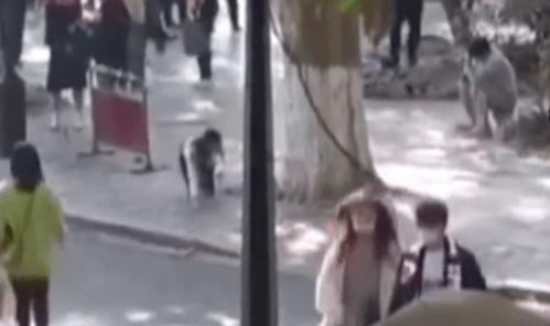 风景爆料女主播视频大全,带你领略自然之美