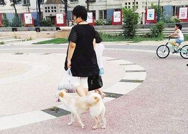 遛狗不拴绳爆料视频播放,网络曝光引发社会热议 第3张 遛狗不拴绳爆料视频播放,网络曝光引发社会热议 第3张